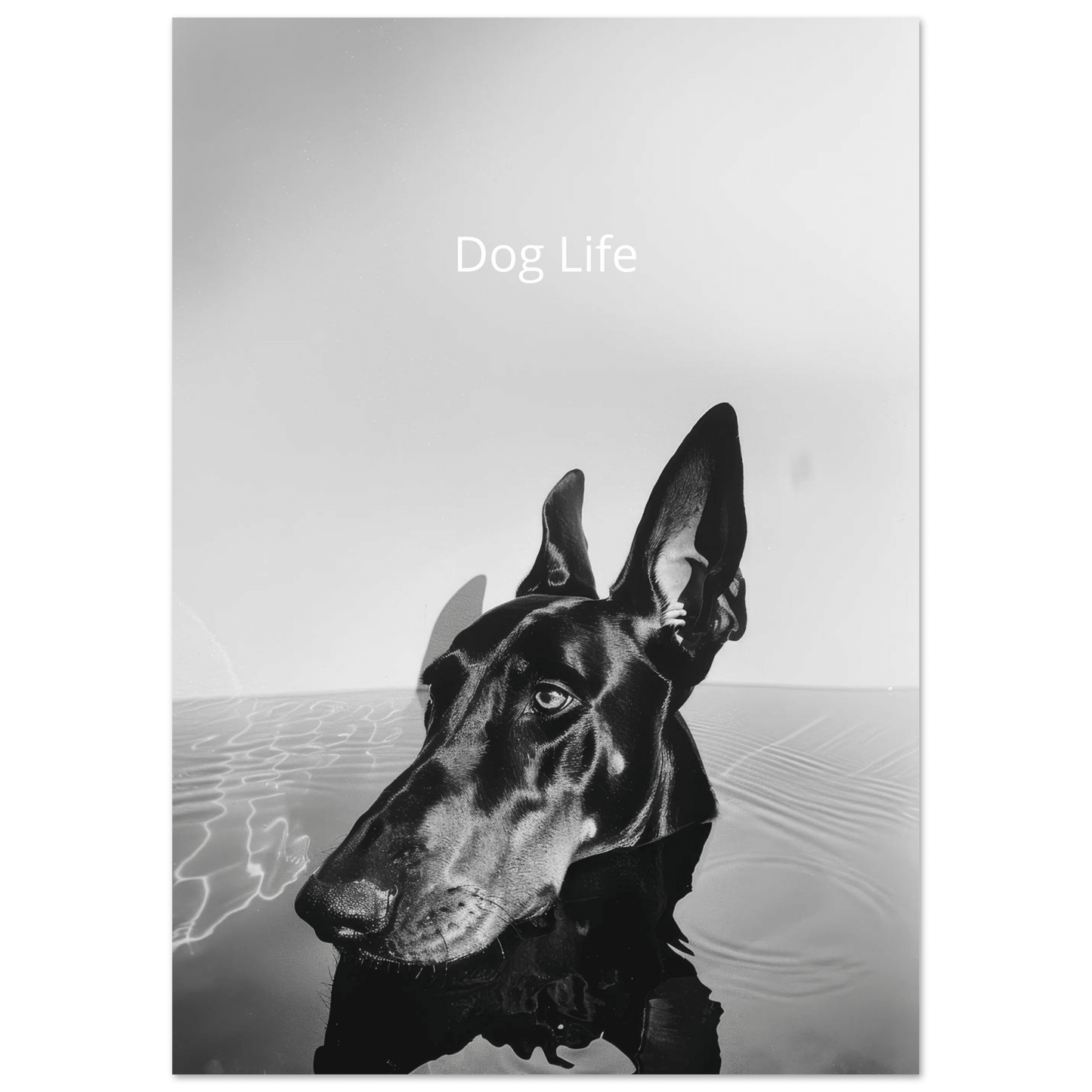 Dog Life - Poster - Mind Of MaxiPrint Material