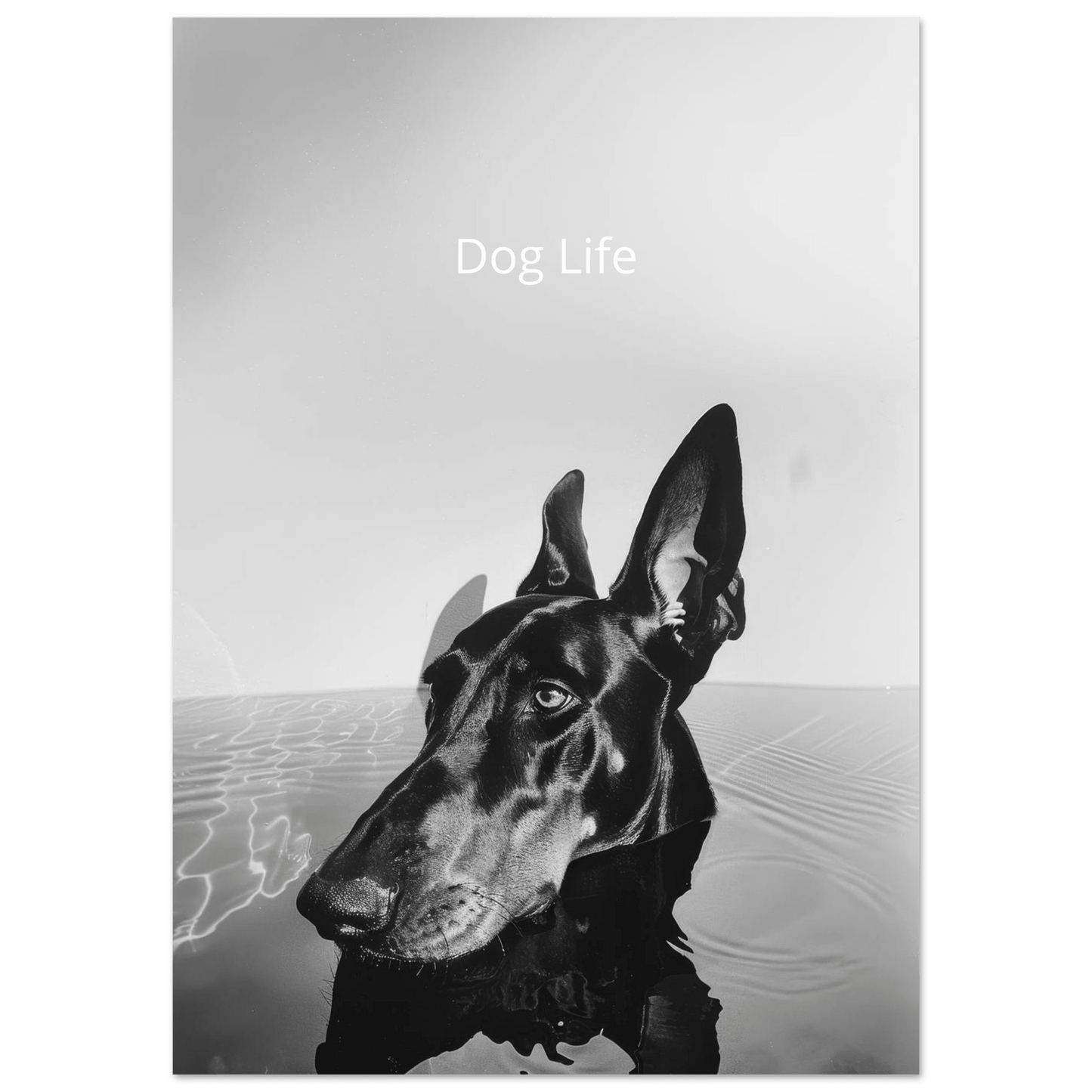 Dog Life - Poster - Mind Of MaxiPrint Material