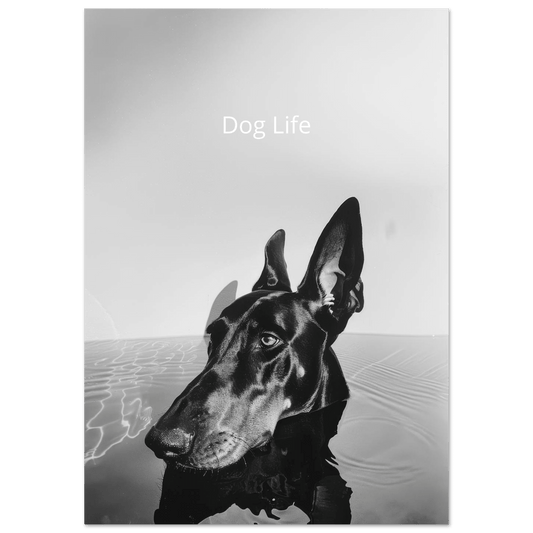 Dog Life - Poster - Mind Of MaxiPrint Material