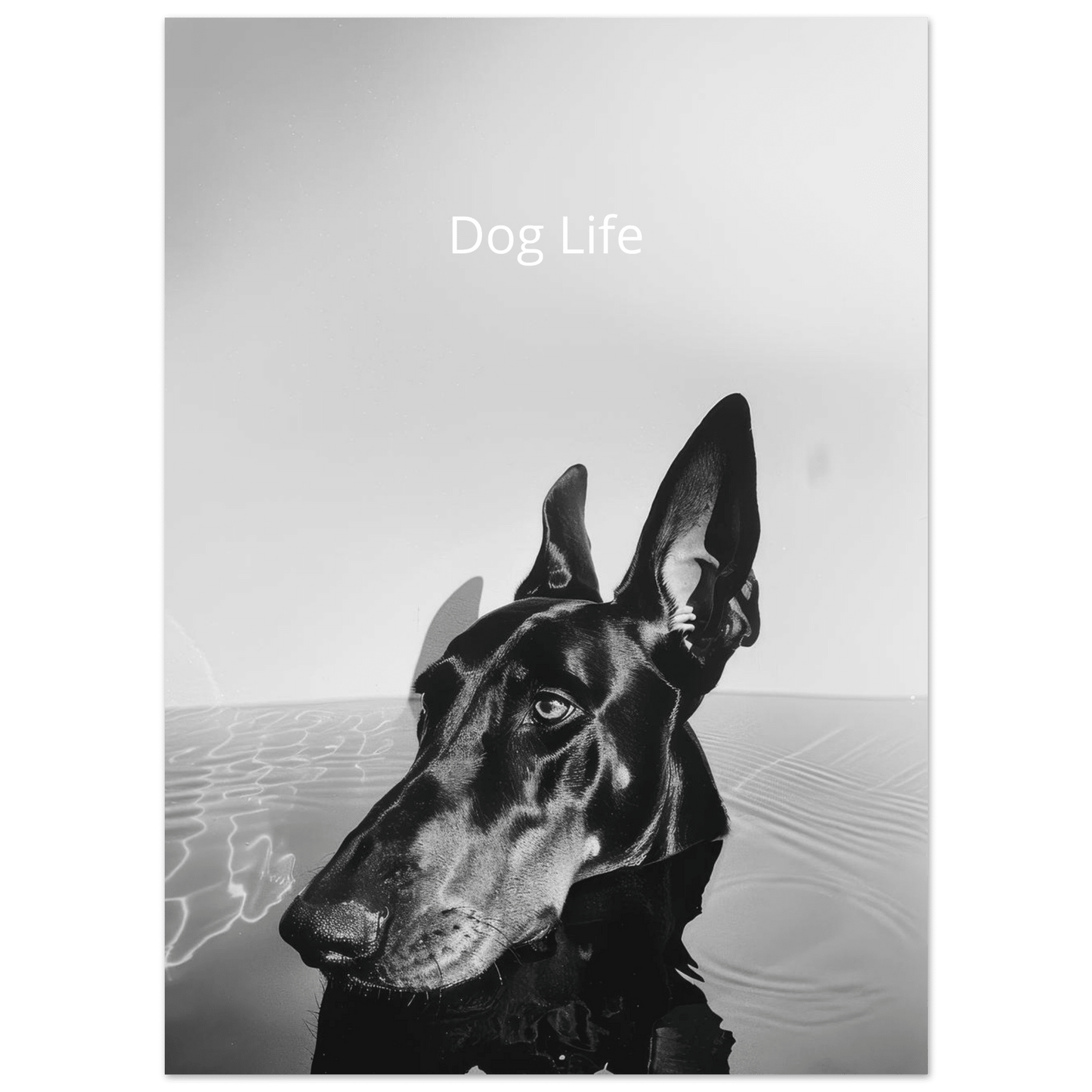 Dog Life - Poster - Mind Of MaxiPrint Material