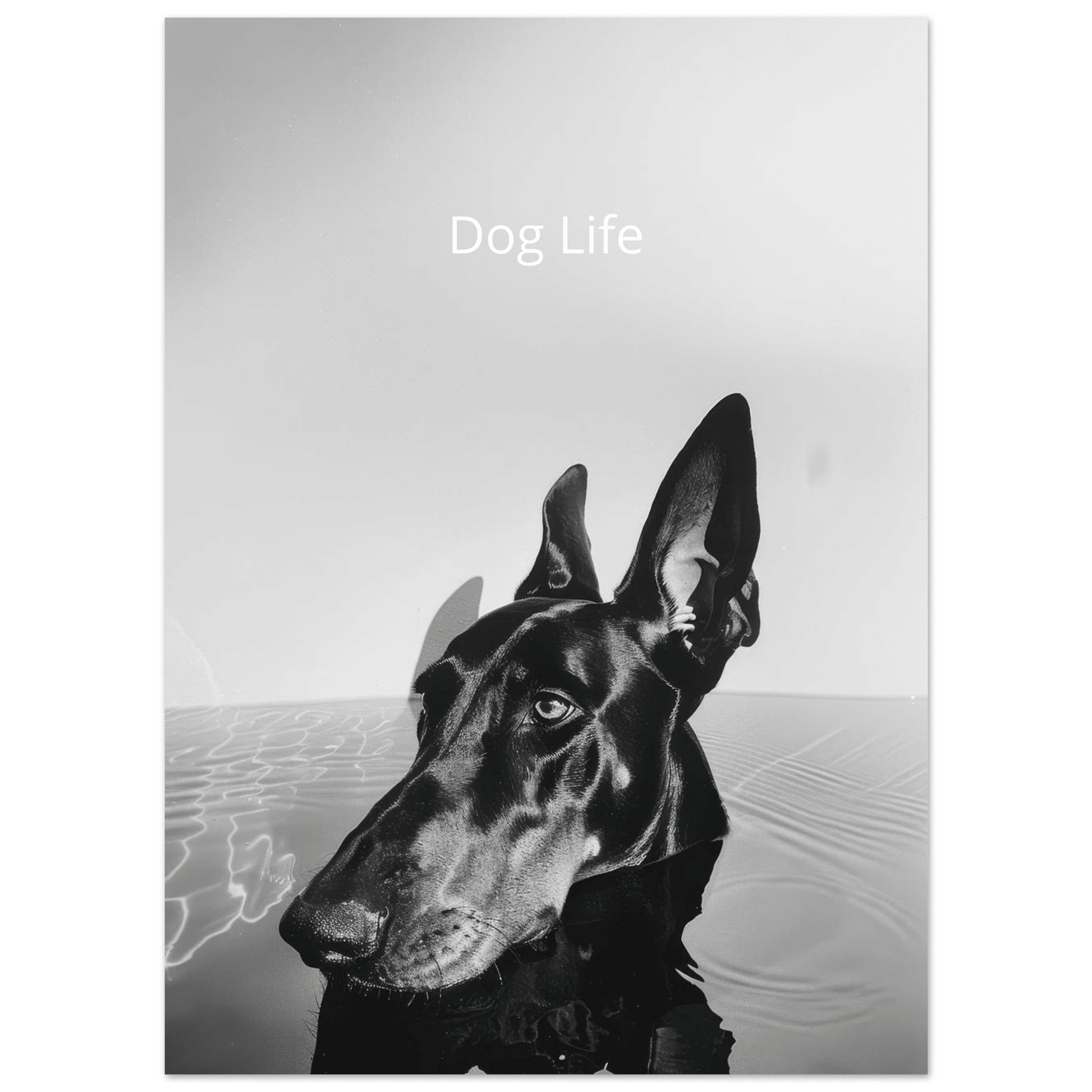 Dog Life - Poster - Mind Of MaxiPrint Material
