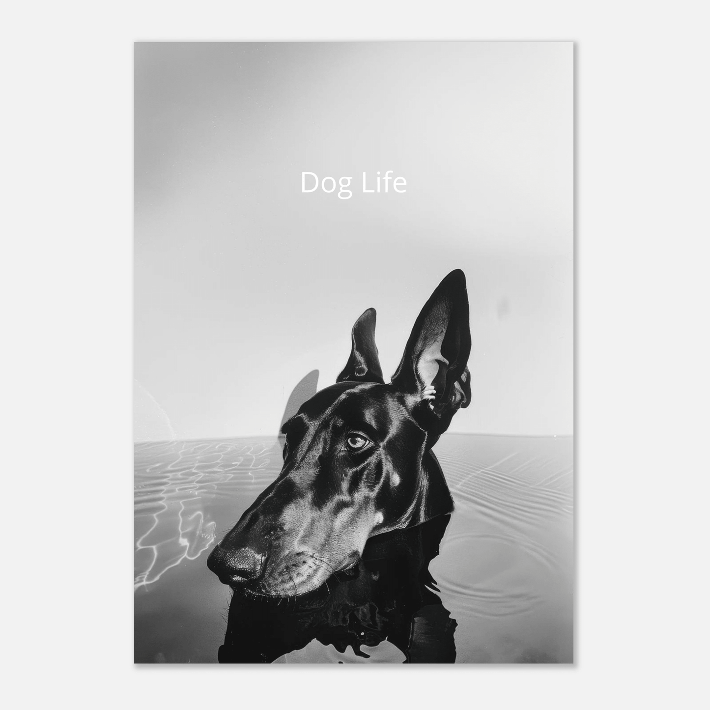 Dog Life - Poster - Mind Of MaxiPrint Material