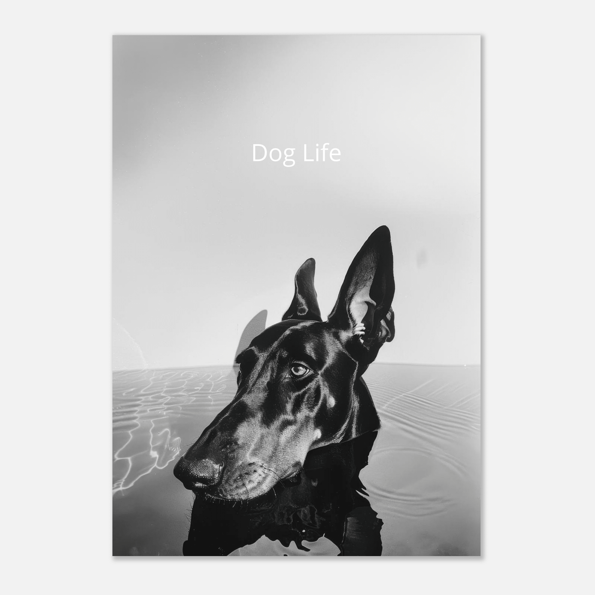 Dog Life - Poster - Mind Of MaxiPrint Material